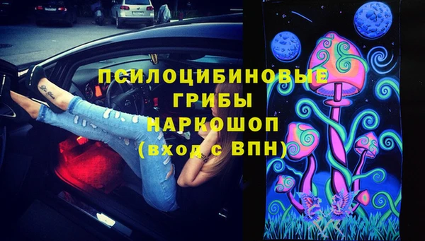 спайс Нея