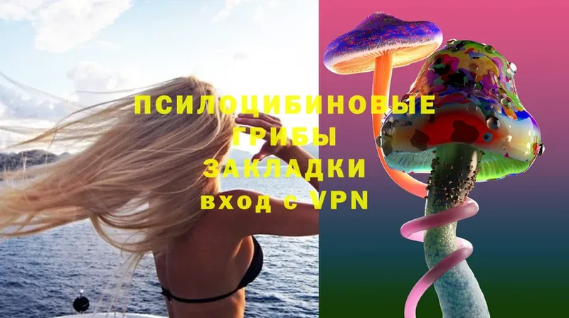 omg ONION  Курлово  Псилоцибиновые грибы MAGIC MUSHROOMS 