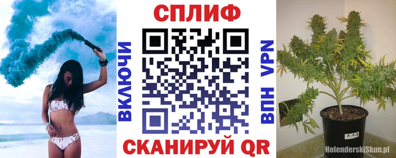 shop официальный сайт Курлово Бошки марихуана семена